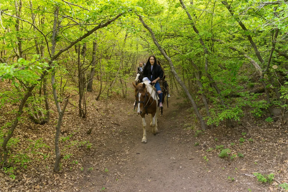 Всадница на лесной тропе в долине Сукко
