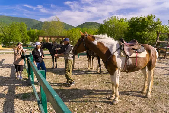 Пегая лошадь и инструктор перед прогулкой