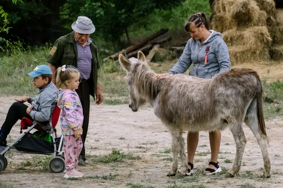 Дети гладят ослика